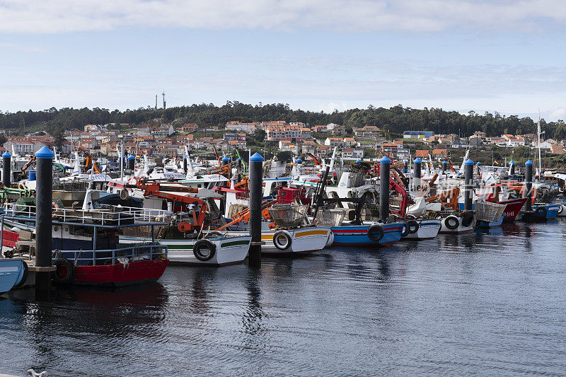 采集贻贝的船只停靠在西班牙加利西亚地区的xafre Isla de Arousa Rias Baixas港